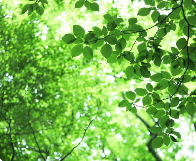 Our Work Towards the Environment