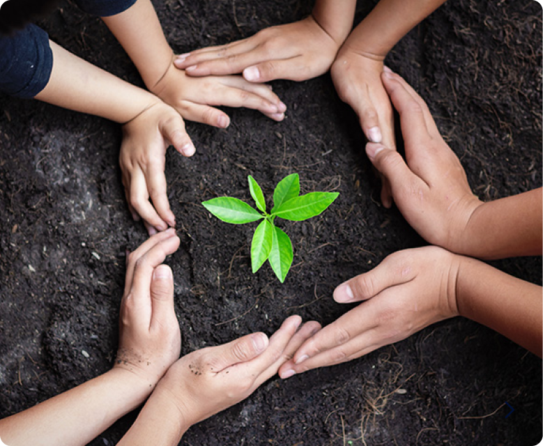 Sustainability
